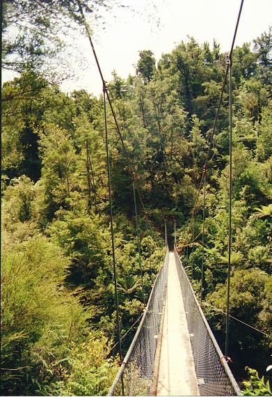 Brcke im Abel Tasman National Park