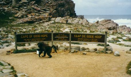 Cape of good hope