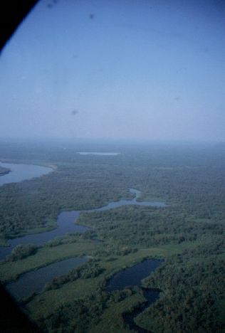 Wald und Sumpf in der Taiga
