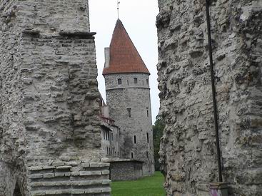 Stadtmauer von Tallinn