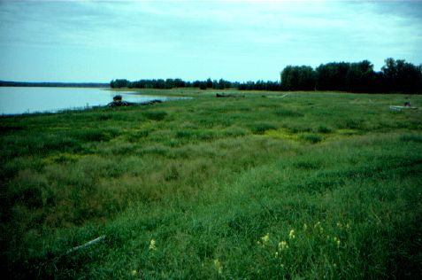 Flußlandschaft bei Taskino